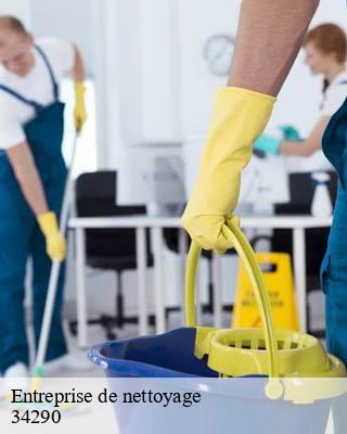 Entreprise de nettoyage   abeilhan-34290 Entreprise de nettoyage Baptiste BJK