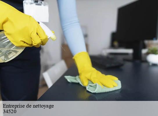 Entreprise de nettoyage   sorbs-34520 Entreprise de nettoyage Baptiste BJK