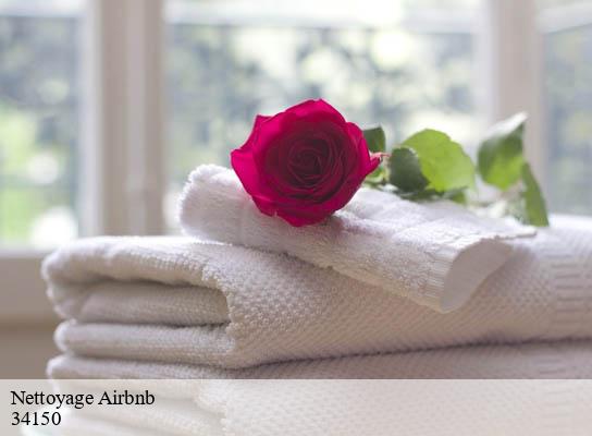Nettoyage Airbnb  arboras-34150 Entreprise de nettoyage Baptiste BJK