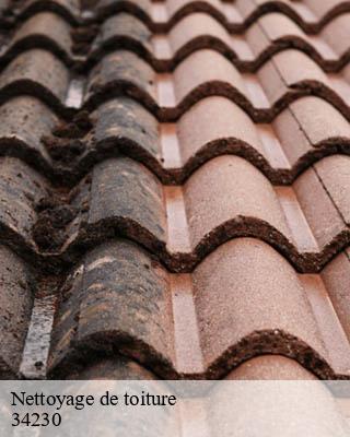 Nettoyage de toiture  belarga-34230 Entreprise de nettoyage Baptiste BJK