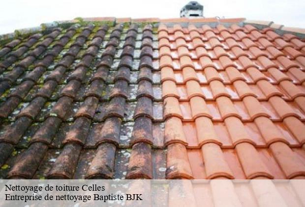 Nettoyage de toiture  celles-34800 Entreprise de nettoyage Baptiste BJK