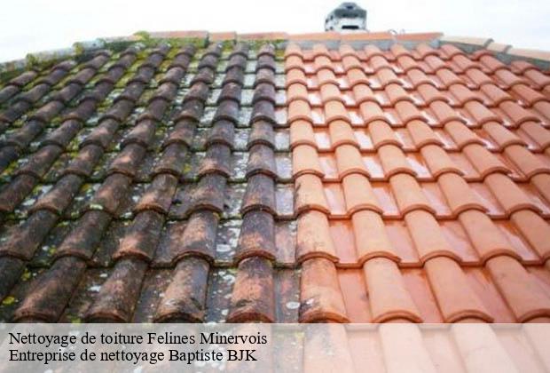 Nettoyage de toiture  felines-minervois-34210 Entreprise de nettoyage Baptiste BJK