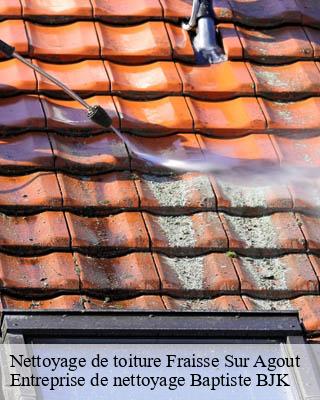 Nettoyage de toiture  fraisse-sur-agout-34330 Entreprise de nettoyage Baptiste BJK