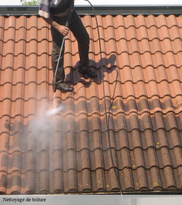 Nettoyage de toiture  murviel-les-beziers-34490 Entreprise de nettoyage Baptiste BJK