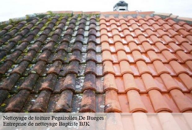 Nettoyage de toiture  pegairolles-de-bueges-34380 Entreprise de nettoyage Baptiste BJK