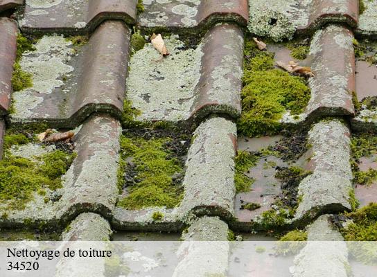 Nettoyage de toiture  saint-felix-de-l-heras-34520 Entreprise de nettoyage Baptiste BJK