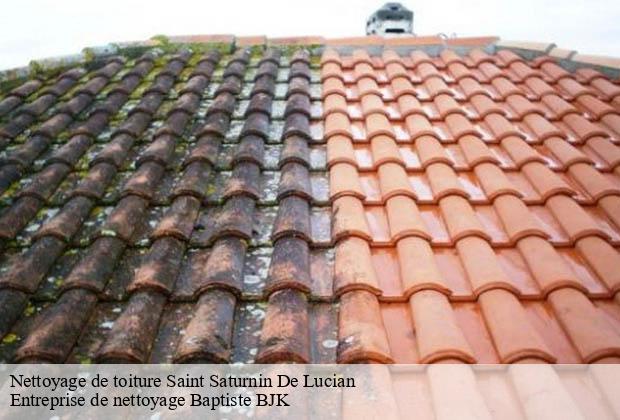 Nettoyage de toiture  saint-saturnin-de-lucian-34725 Entreprise de nettoyage Baptiste BJK